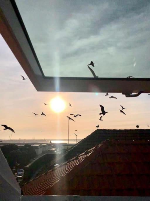 Lobo Do Mar Matosinhos Beach Loft מראה חיצוני תמונה